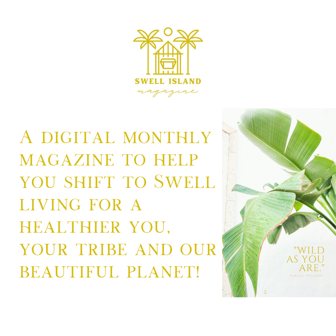 FREE Swell Island Mini Magazine