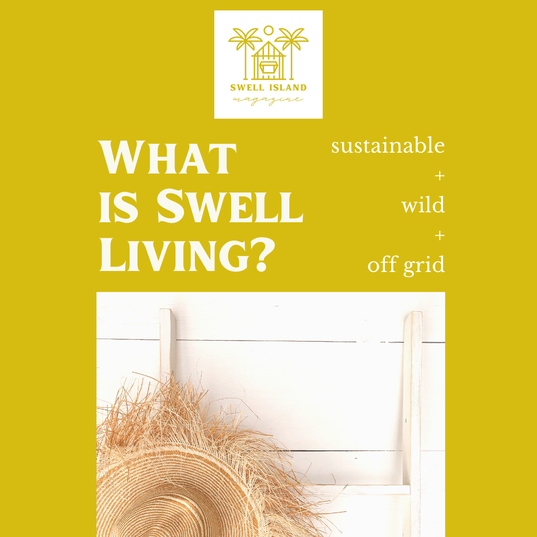 FREE Swell Island Mini Magazine
