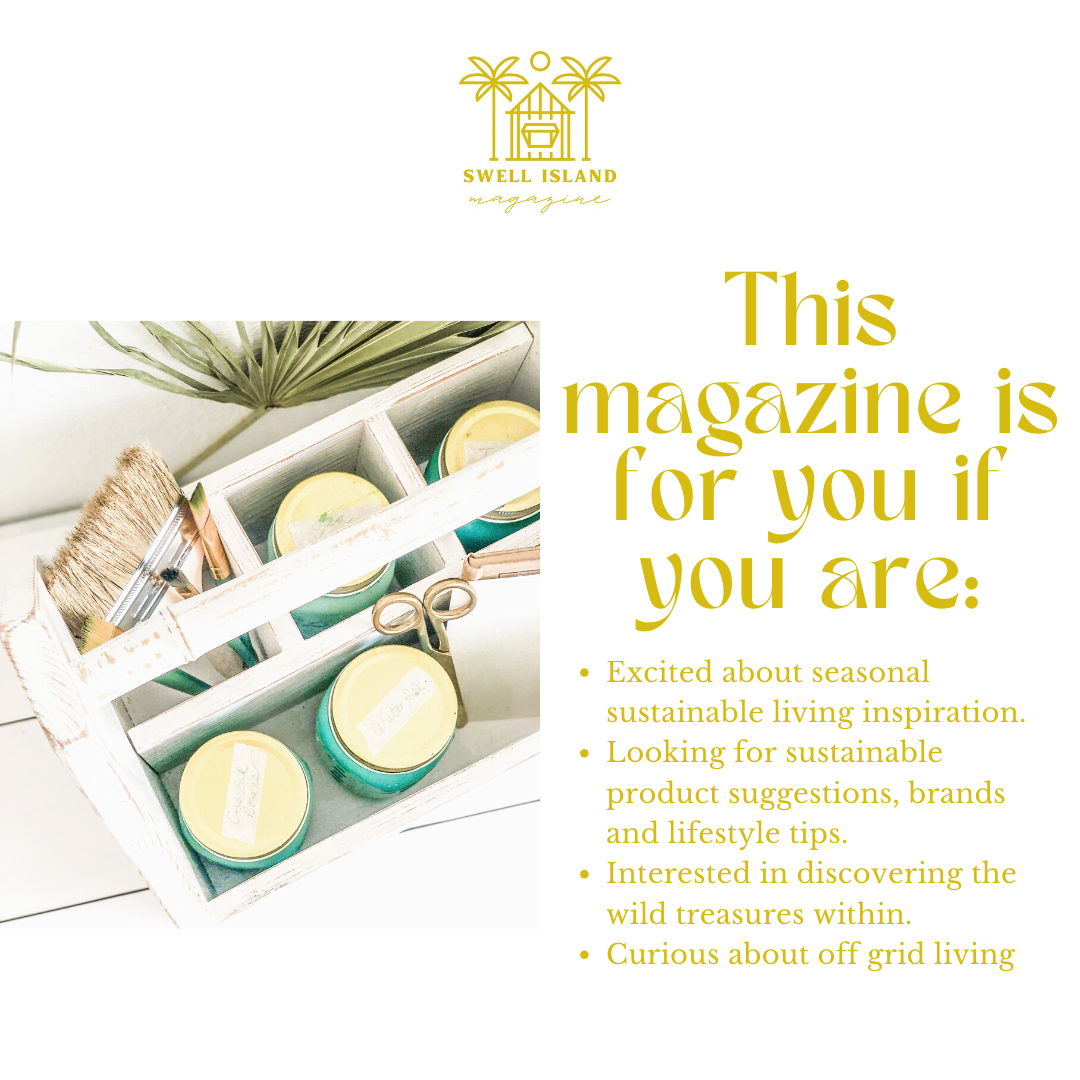 FREE Swell Island Mini Magazine