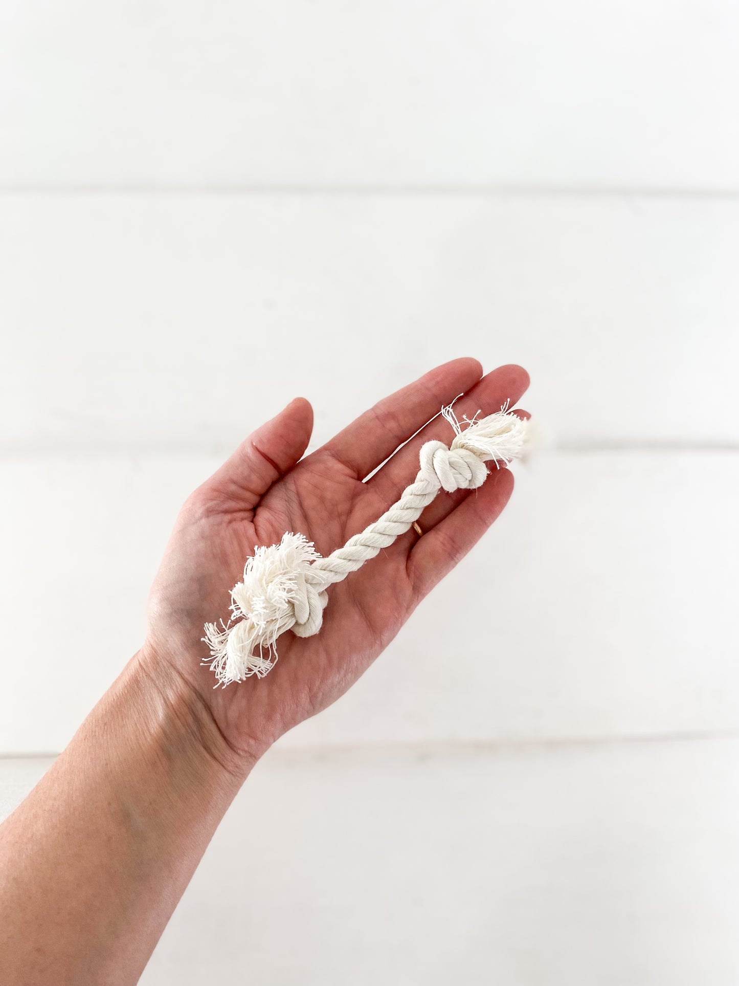Rope Pet Toy