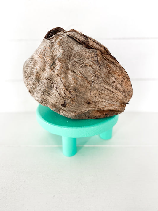 Turquoise Nature Wood Riser Stand